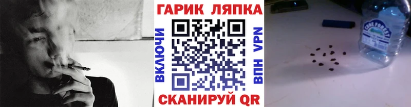 Гашиш индика сатива  Андреаполь 