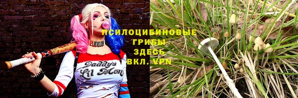MDMA Алексин