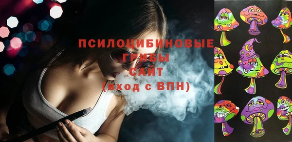 дмт Алзамай