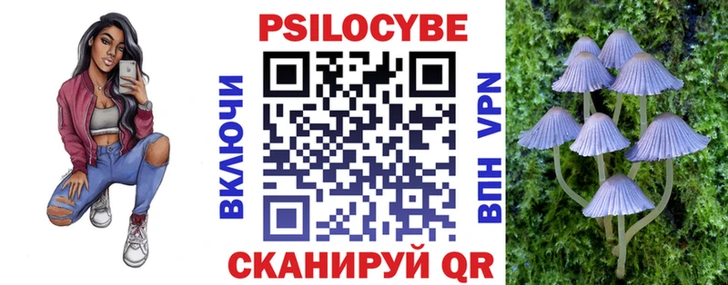 Псилоцибиновые грибы Psilocybe  наркота  Андреаполь 